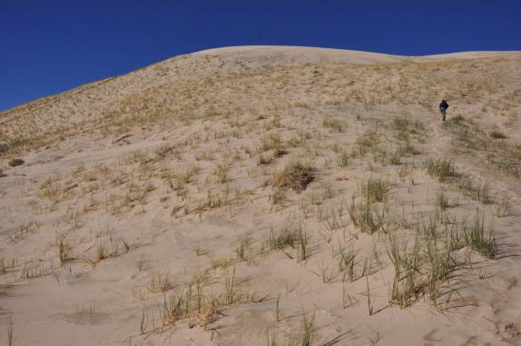 Subindo as Kelso Dunes, no deserto de Mojave, na Califórnia, nos Estados Unidos